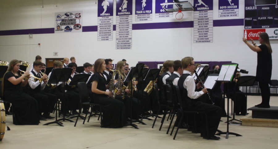 The band performs during a concert.