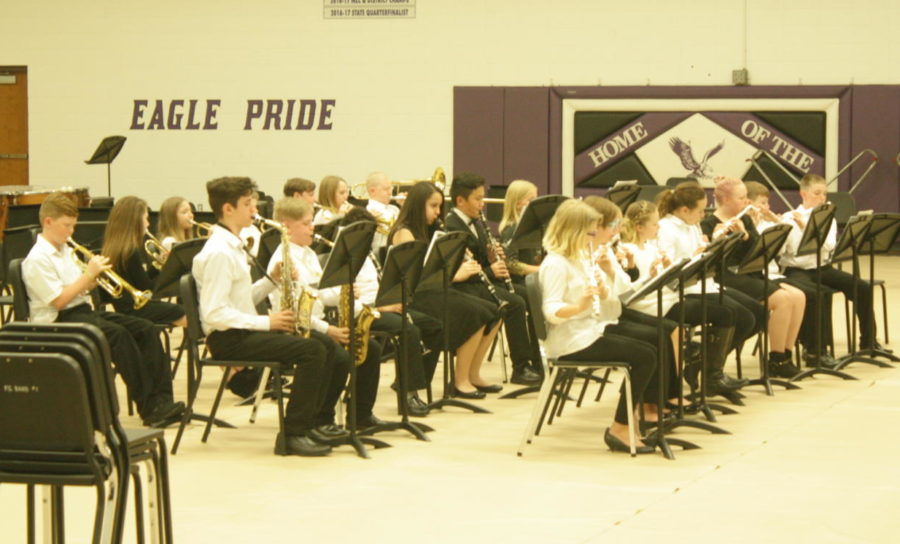 The band performs at their concert.