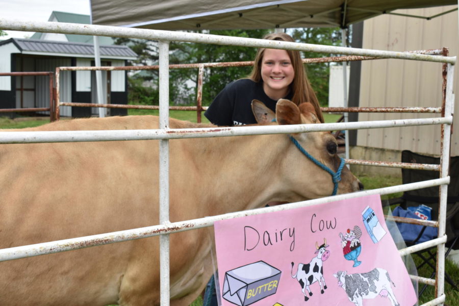 Bailey Richardson (10) poses with her dairy cow.