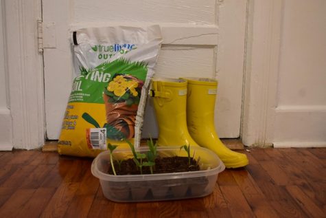 Gardening supplies including dirt, rain boots, and seedlings.