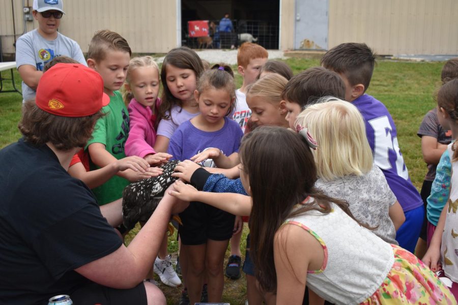 Elementary class petting a chicken at Farm Day. (Photos provided by Hannah Bruner.)