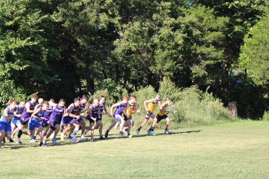 The High School Boys Cross Country team starts the race at the Fair Grove meet. (Photo taken by Christian Allen)