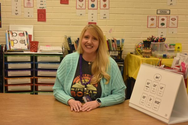 Jessica McKeever succeeding in her new role as Fair Grove Elementary Reading Specialist.