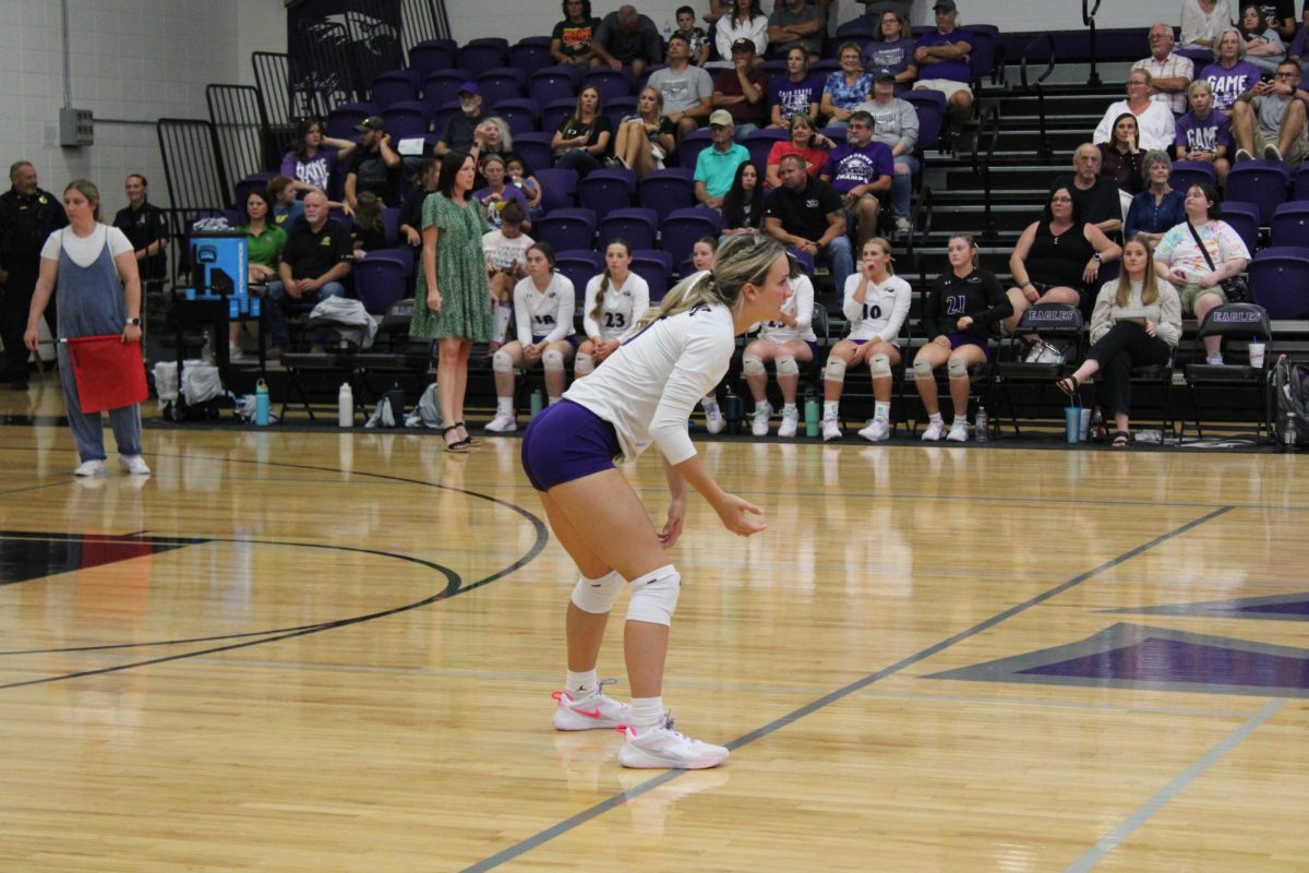 Brooke Daniels (12) playing in the volleyball game against Logan-Rogersville. 