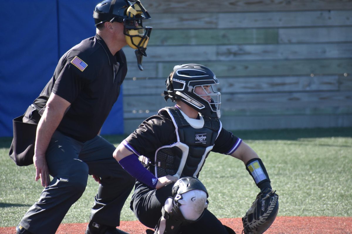 Macklen Johnson (11) catching for the Fair Grove Eagles baseball team in their game against Forsyth.