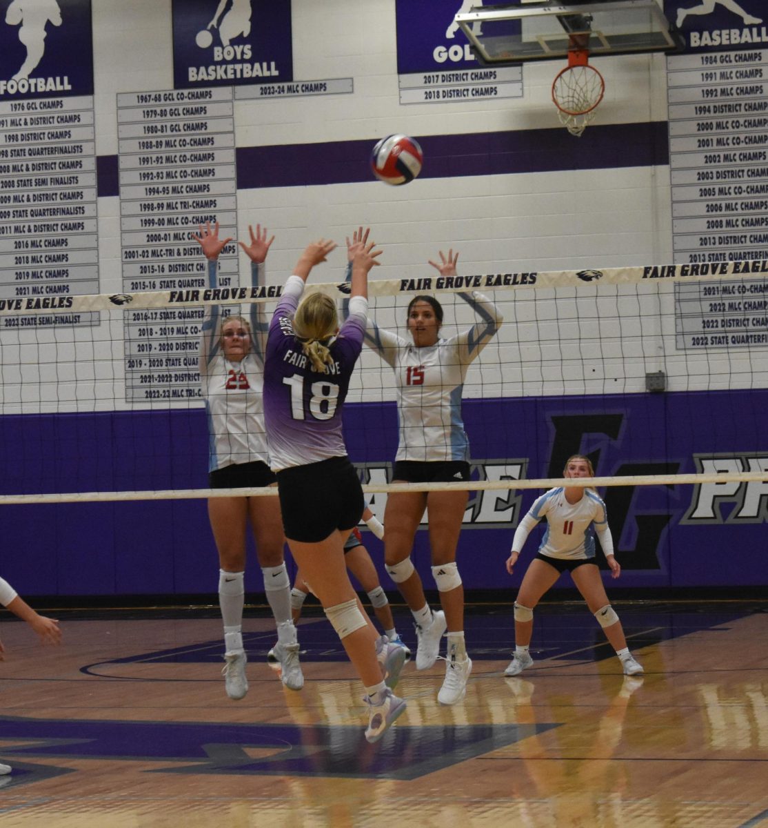 Mckenna Zanzie (10) competing in a block against Glendale. The Fair Grove Eagles lost this game 3 sets to 0.