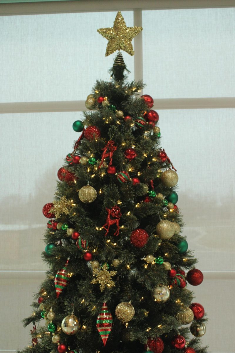 Fair Grove Schools' very own Christmas tree, displayed in the Middle School commons.