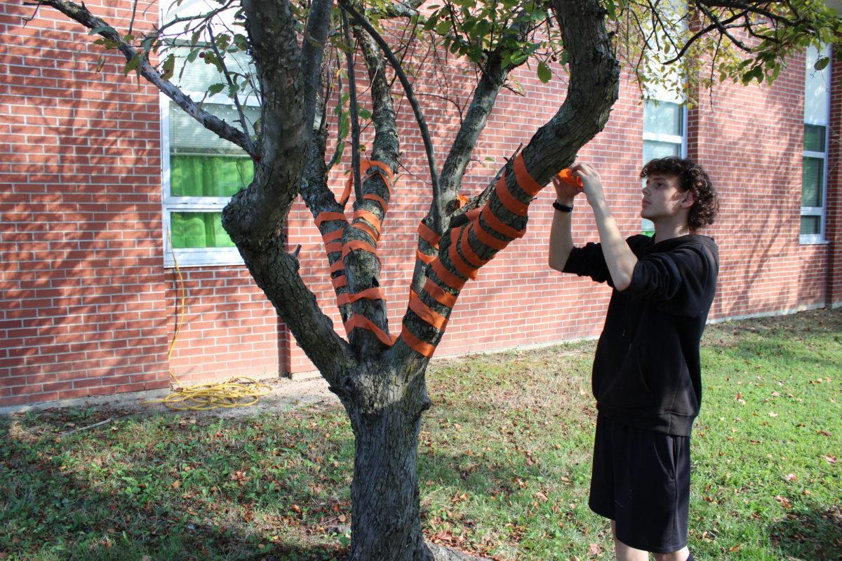 Kole Howard (9) wrapping ribbon around a tree for the 2025 homecoming dance. STUCO helps plan and set up school dances and assemblies. 