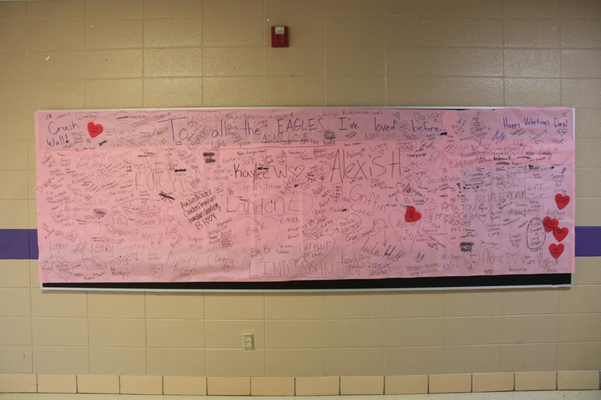 The Fair Grove High School Student Council has put up a crush wall in the middle hallway of the high school. Students and teachers wrote their crushes' names on the wall to celebrate the day of love! Happy Valentine's day!